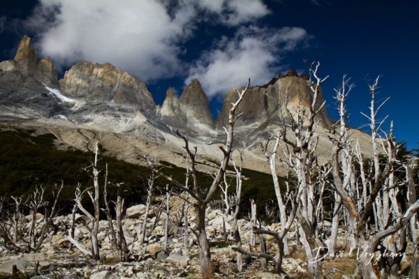 Vallée Française dans le parc national Torres del Paine, au Chili